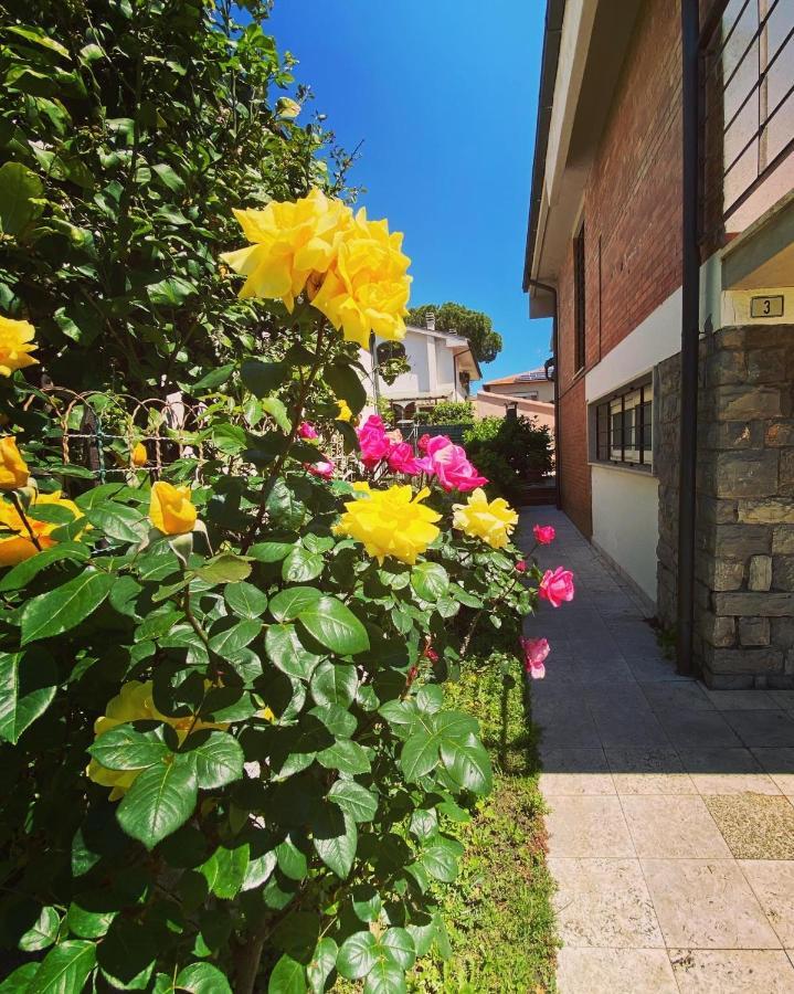 Casa Summer تشيزينا المظهر الخارجي الصورة